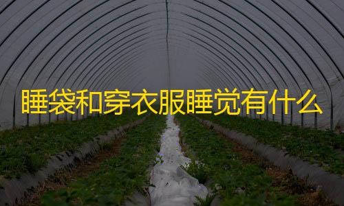 和平精英直装破解版辅助睡袋和穿衣服睡觉有什么区别